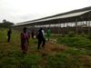 Lagos to give Agric Estates, Farm Settlements Facelift - Sanwo-Olu