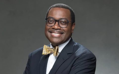 AfDB Election: Adesina Re-Elected as President