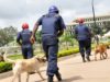 Ondo 2020: NSCDC Deploys Sniffer Dogs, 7,079 Personnel