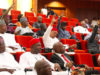 Senate Passes Bill on Compulsory Health Insurance for Every Nigerian  