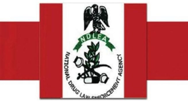 Recruitment: NDLEA Releases List of Successful Applicants