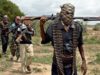 Bandits Abduct 77 Persons In Fresh Attack On Kaduna Village