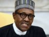 People Calling For Secession, Restructuring In Nigeria Ignorant Of War—Buhari