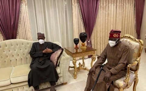 Buhari’s Visit To Tinubu Is On Goodwill, Not About 2023 Election - Femi Adesina