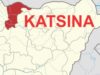 Bandits Occupy Farms In Katsina, Force Villagers To Supply Fertilisers