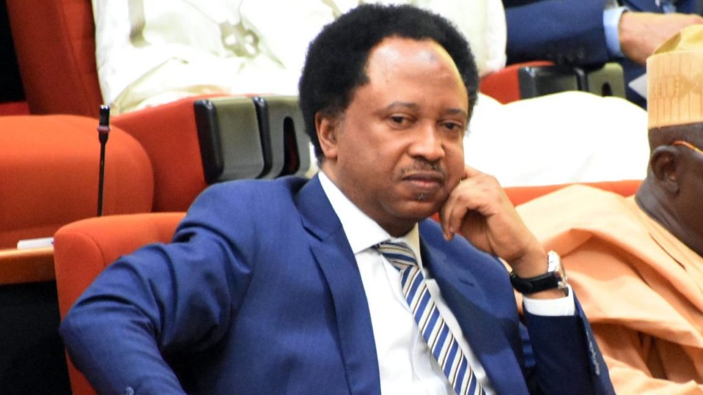 Party Delegates Same As Bandits Collecting Ransom, Shehu Sani Says After Losing Primary