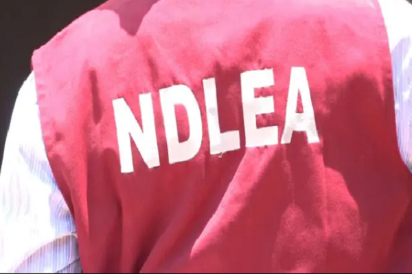 NDLEA Destroys N2Billion Worth of Illicit Drugs in Akwa Ibom
